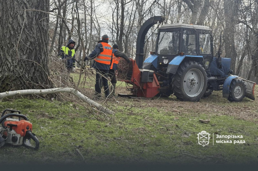 Як виглядає улюблений парк запоріжців взимку - фото