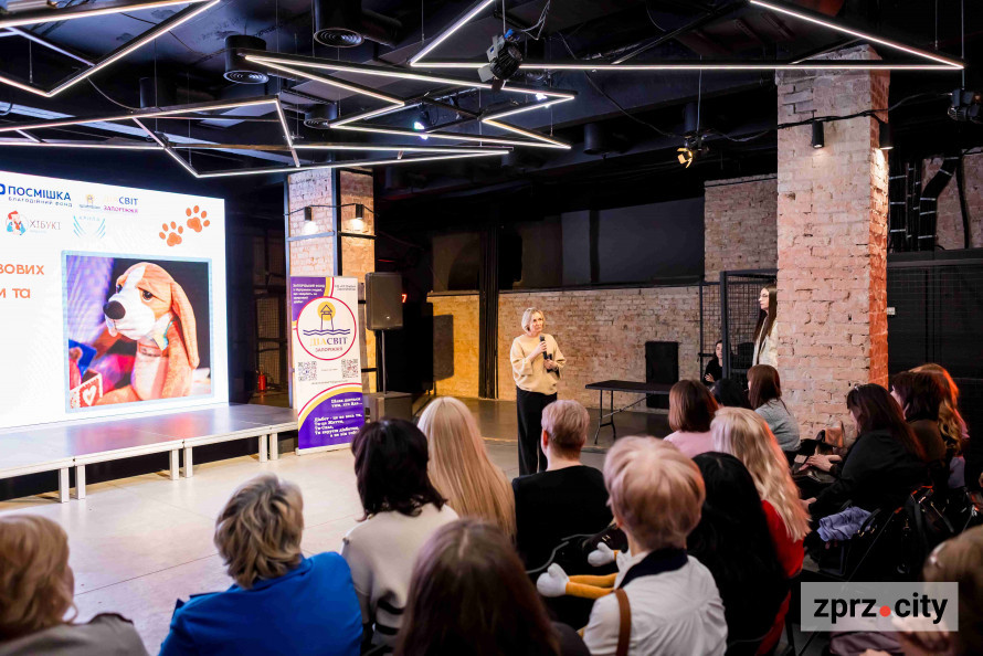 Іграшка, що лікує: у Запоріжжі стартує новий курс хібукі-терапії для педагогів