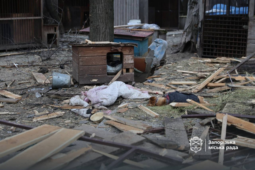 Внаслідок атаки БпЛа був зруйнований притулок «Дай лапу, друже» - волонтери просять про допомогу (фото)