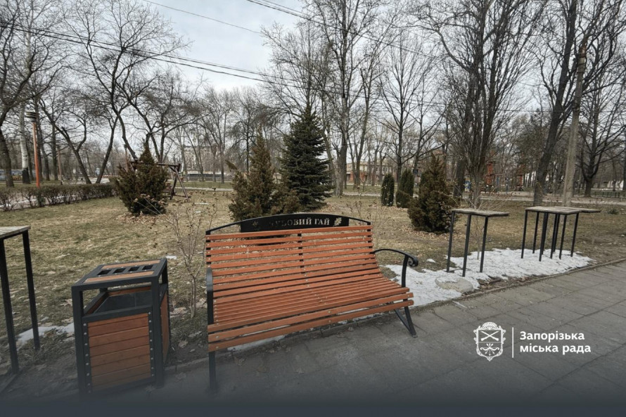 Як виглядає улюблений парк запоріжців взимку - фото