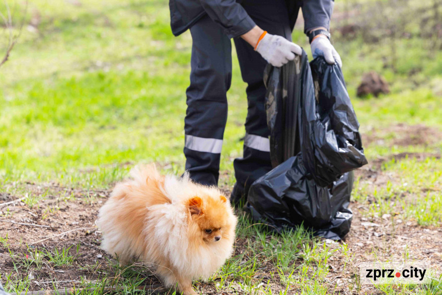 Запорізькі металурги долучилися до весняного прибирання міста