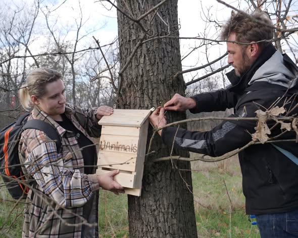 На Хортиці з’явилися зимові «гуртожитки» для кажанів (фото)