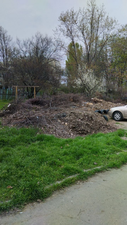 У Запоріжжі виявили масштабне стихійне сміттєзвалище (фото)