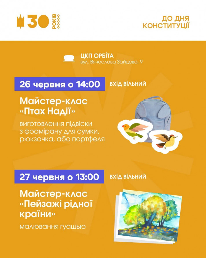 Кіно, концерти та майстер-класи: як відзначити у Запоріжжі День Конституції України