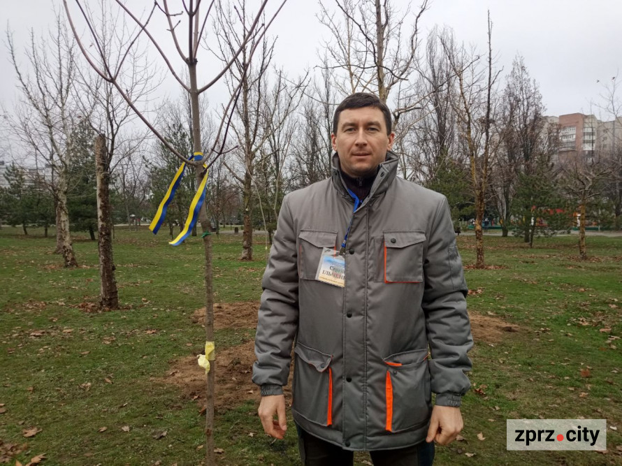 У запорізькому парку висадили більше ста лип і кленів - є унікальний сорт (фото)