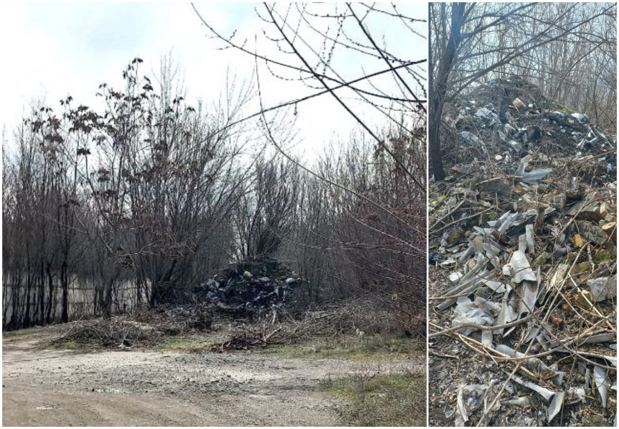 Сміттєва гора: у Запоріжжі інспектори натрапили на стихійне звалище у промзоні (фото)