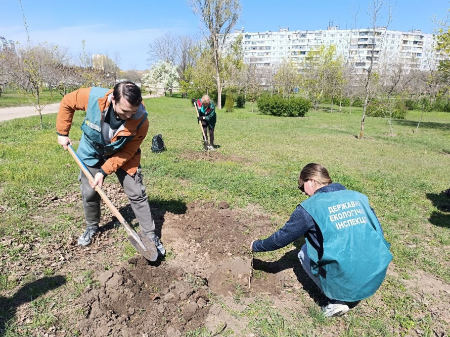 У Запоріжжі з'явилася алея дубів із «шевченківським корінням» (фото)