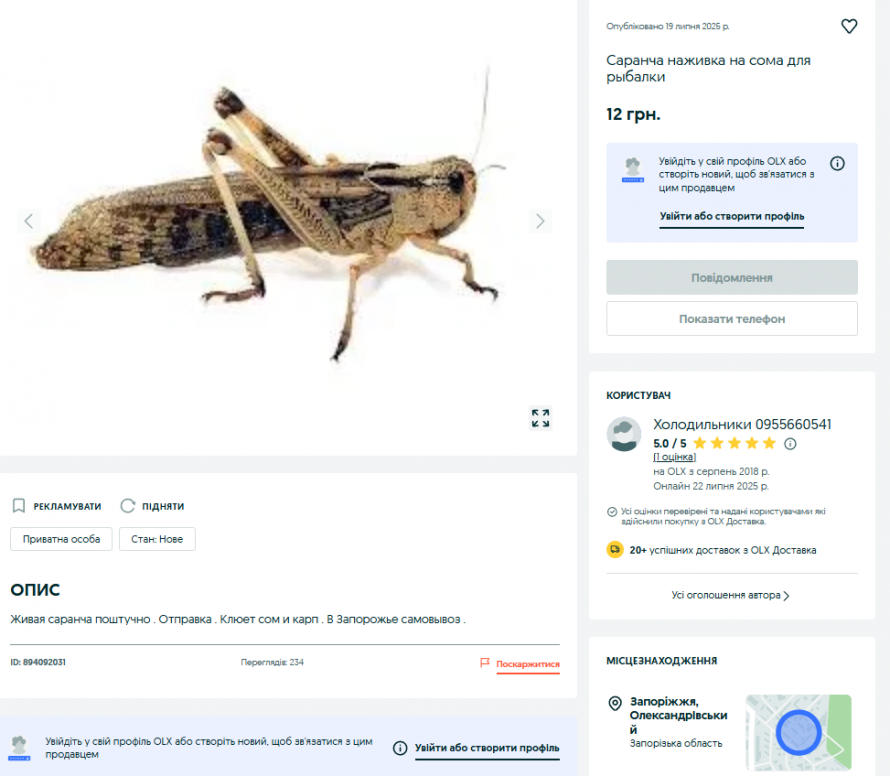 Бізнес на комахах - мешканці Запоріжжя почали продавати сарану через інтернет
