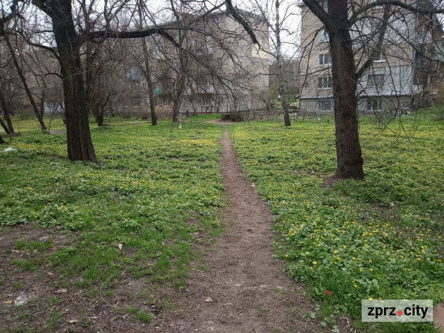 Води стало більше: як виглядає узбережжя Хортиці на початку квітня