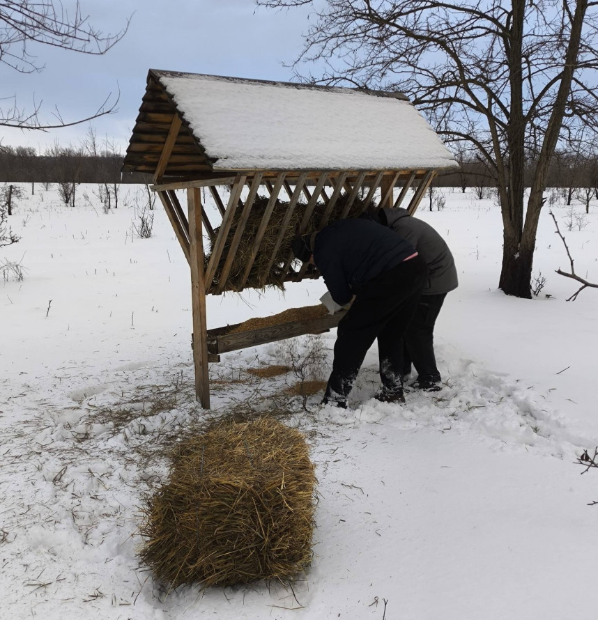 Дикі тварини Хортиці отримують допомогу – як у заповіднику підтримують звірів узимку (фото)