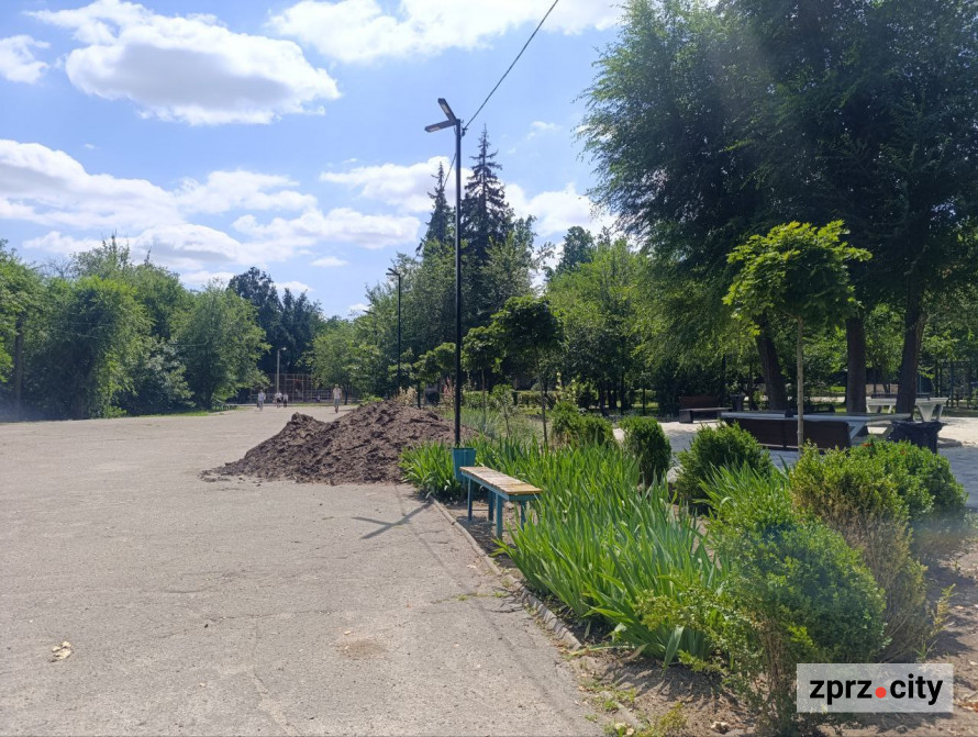 Теніс під кронами дерев - у запорізькому парку з'явилася стильна локація для гри та відпочинку (фото)