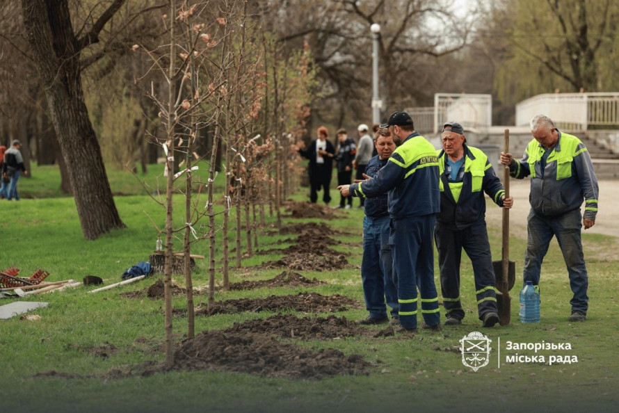 У запорізькому парку висадили нову алею дубів (фото)