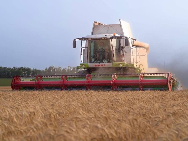 Війна, спека, сарана - як аграрії Запоріжжя борються за врожай у 2025 році