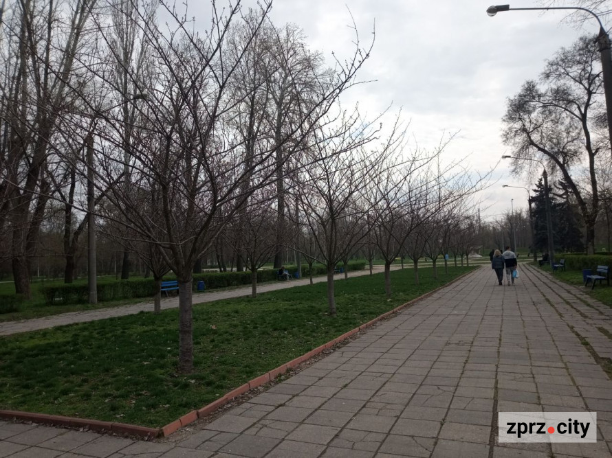 Сезон магнолій і лебеді: у вихідні в запорізькому парку був аншлаг - фото