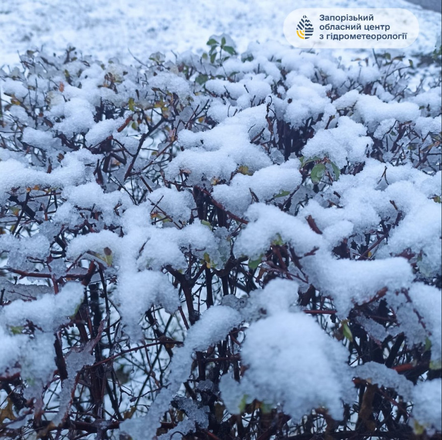 У Запоріжжі почали боротьбу зі снігом - фото перших зимових опадів