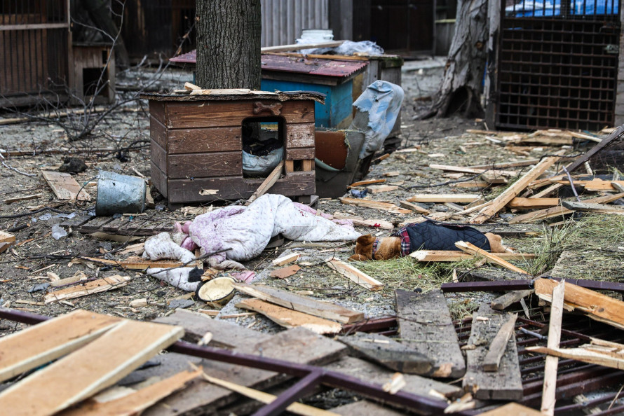 "Тварини не заслуговують бути вбитим" - ситуація у запорізькому притулку для тварин, зруйнованому ворожим дроном