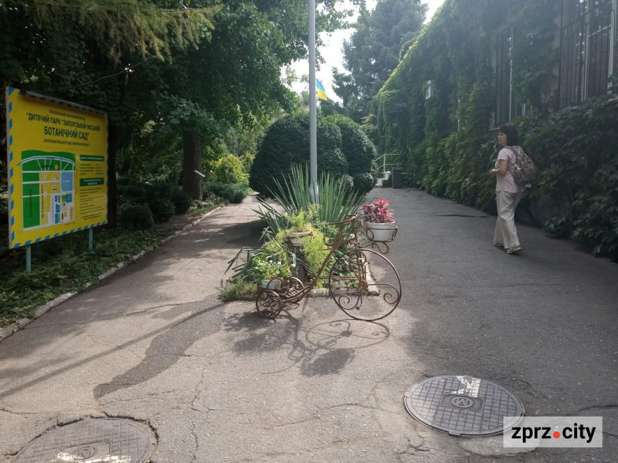 Неймовірна концентрація краси: як запорізький ботанічний сад виглядав в останні дні літа