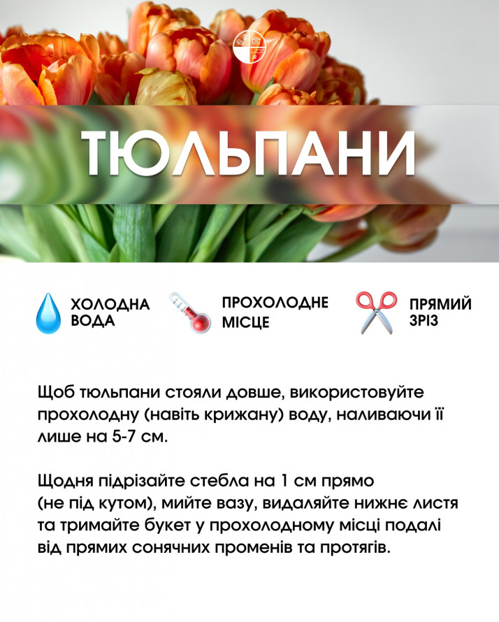 Букет, який довго не в’яне: секрети догляду за популярними квітами