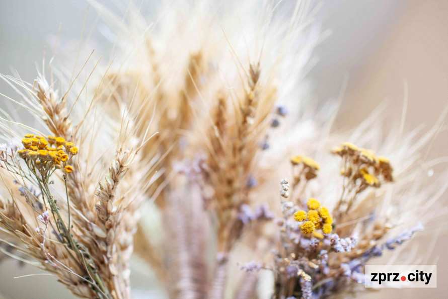 Різдвяна магія - у запорізькому ком’юніті-центрі «Опліч Хаб» відбувся майстер-клас з етнотерапії