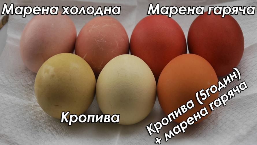 Як пофарбувати яйця без хімії: трави, капуста та цибулеве лушпиння