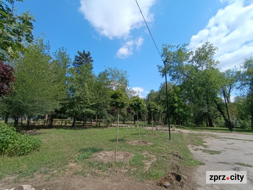 Теніс під кронами дерев - у запорізькому парку з'явилася стильна локація для гри та відпочинку (фото)