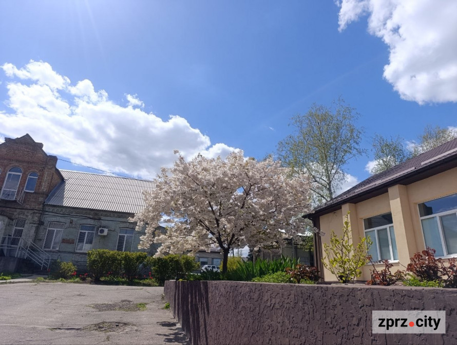 Від найстарішої школи до справжнього замку: які незвичайні менонітські будівлі можна побачити в Запоріжжі (фото)