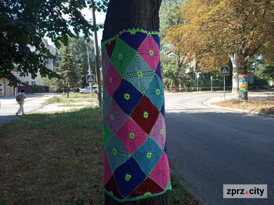 Мухомор бажань, черепаха та дерева у "светрах": де у Запоріжжі побачити незвичайну локацію (фото)