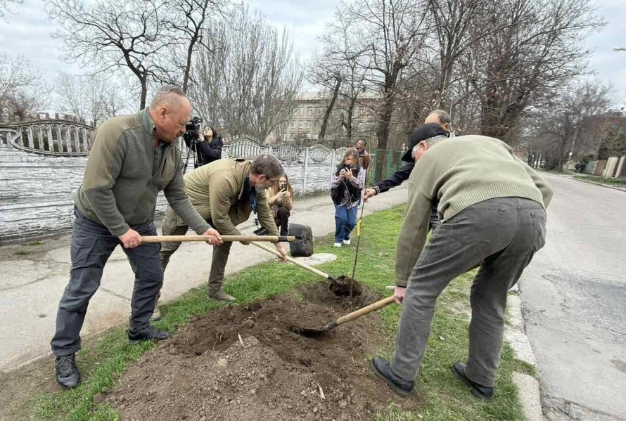 Живий символ пам'яті: в Запоріжжі висадили іменні липи для «азовців» (фото, відео)