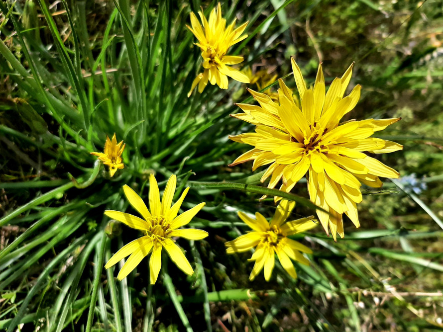 Таємниці Чорної скелі: на Хортиці виявили артефакти різних епох (фото)