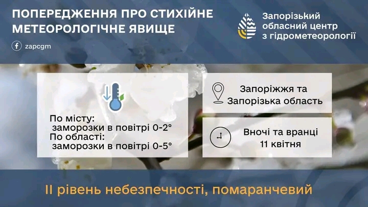 Весна, яку варто побачити: як у запорізькому ботсаду квітнуть сакури та магнолії (фото)