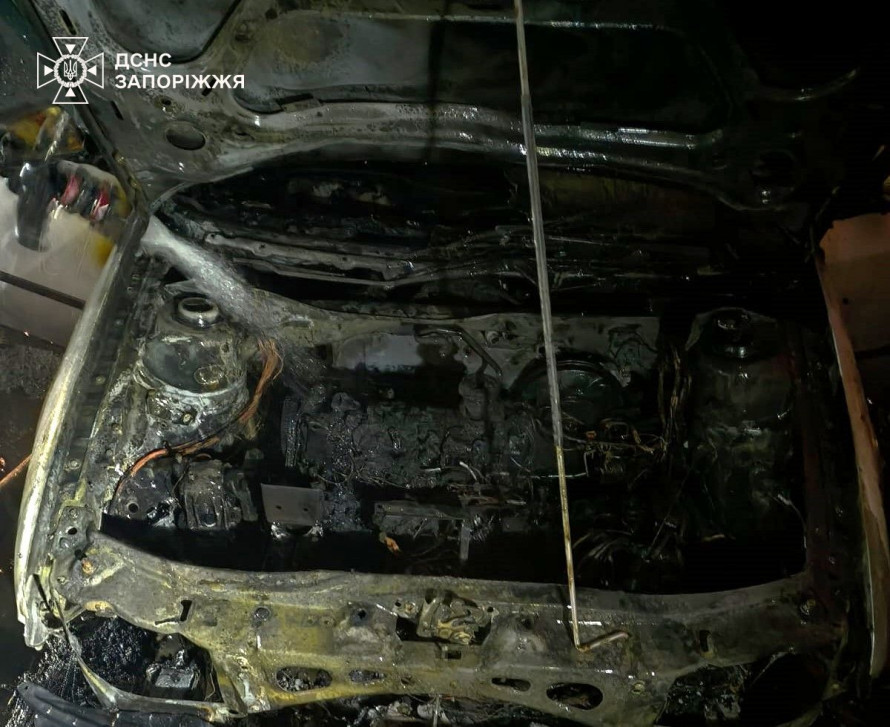 Горів дачний будинок і легковик: за добу на Запоріжжі ліквідували п’ять пожеж (фото)