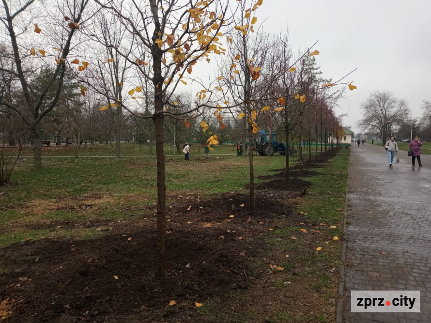 Масована атака дронів, скорочення відключень електрики, новорічні локації - дайджест подій 24-30 листопада у Запоріжжі