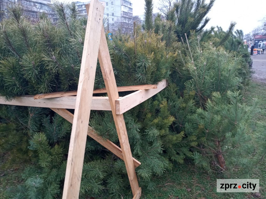 В традиційному місці наймолодшого району Запоріжжя запрацював ялинковий базар - фото