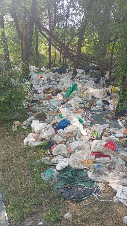 Забруднили квартал — у Запоріжжі в житловому секторі знайшли кілька звалищ з відходами (фото)