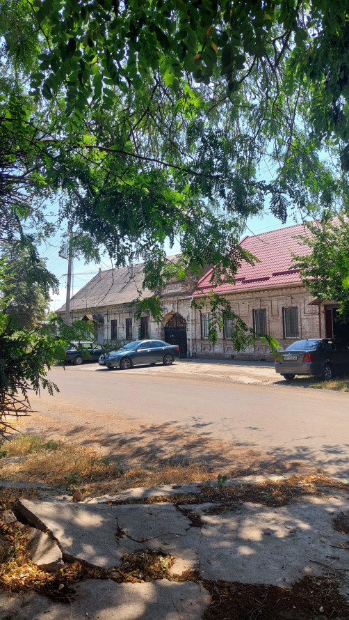 Екзотичне диво - у центрі Запоріжжя росте “зле дерево” з гігантськими шипами (фото)