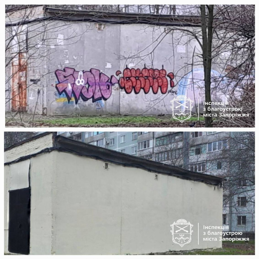 Прибирали весь тиждень - у Запоріжжі інспекція демонтувала десятки вивісок (фото, відео)