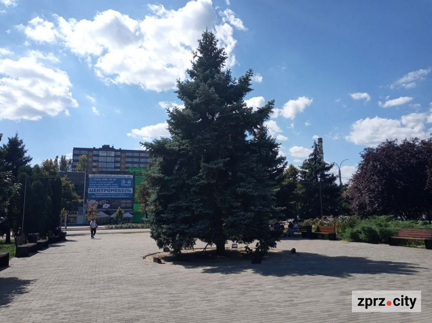 Кольорове літо серед фантастичних звірів: як зараз виглядає "Чарівний сад" у Запоріжжі (фото)