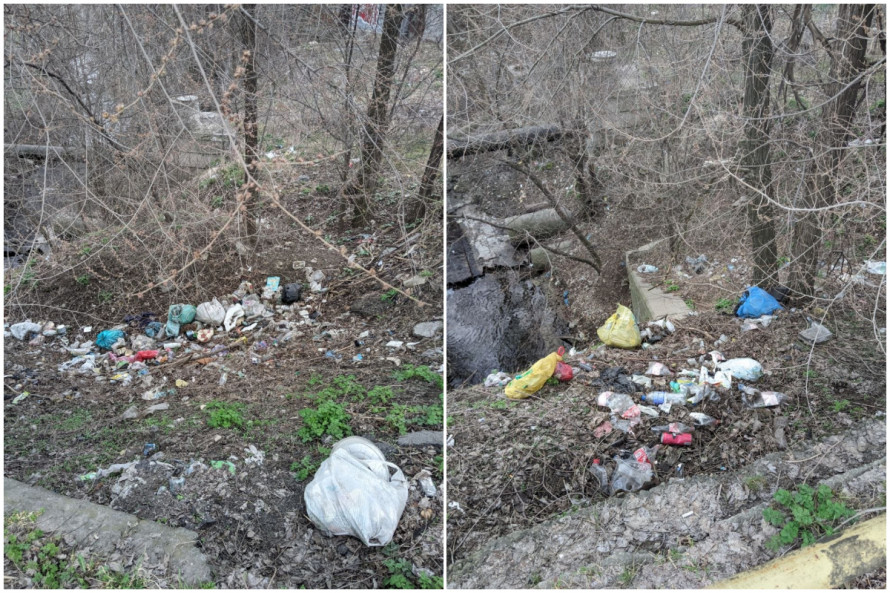 Вулиця Чарівна потопає у смітті: в Запоріжжі поблизу річки виявили смітник з підвищеною небезпекою для довкілля (фото)