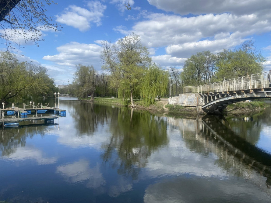 У головному парку Запоріжжя квітне сакура: чим ще можна помилуватись - фото