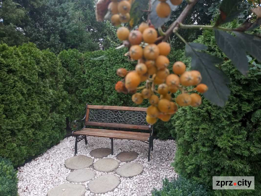 Новий музей, відкриття сезонів у театрах та кінопрем'єри: куди піти у Запоріжжі найближчими днями