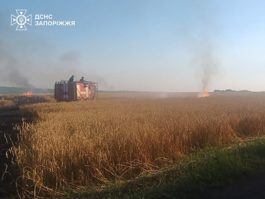 Росіяни знищили 1850 гектарів посівів: як Запорізька область проводить жнива під обстрілами