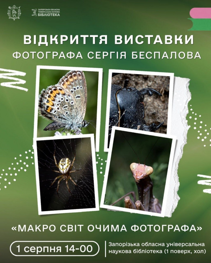 Куди сходити у Запоріжжі в перші вихідні серпня: дайджест культурних подій