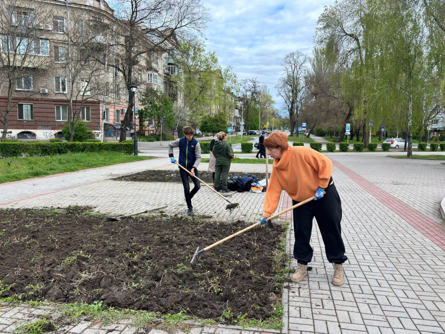 Екологічний експеримент зірвали: у Запоріжжі вдруге скосили кліматичні клумби - міська влада вибачилась (фото)