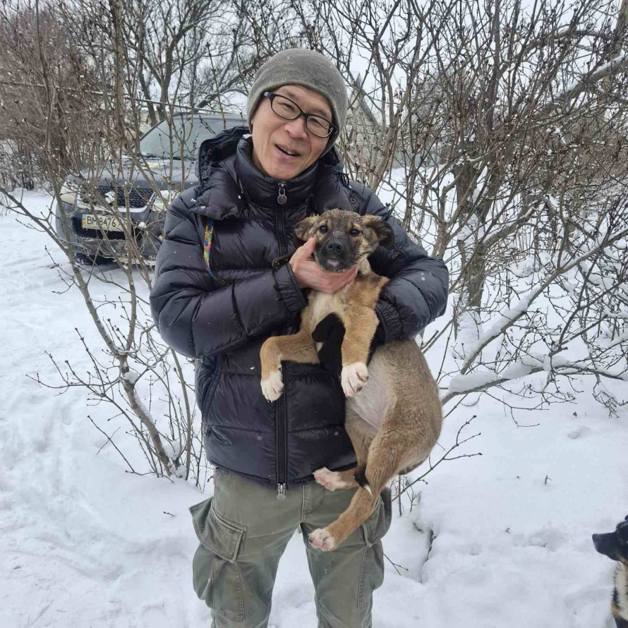 Роксі з прифронтового Запоріжжя вирушає до Японії - волонтер подолав тисячі кілометрів заради цуценяти (фото)