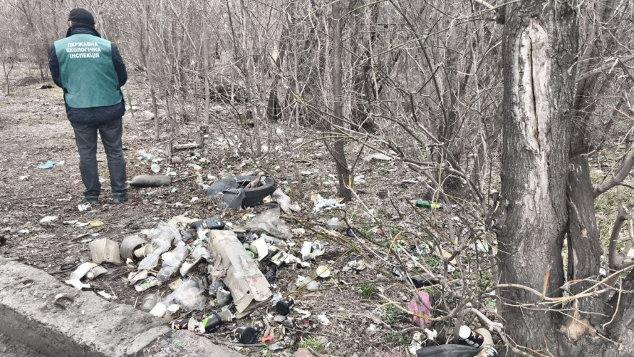 Каністри, покришки і кавові стаканчики: у Запоріжжі екологи виявили смітник біля парковки (фото)
