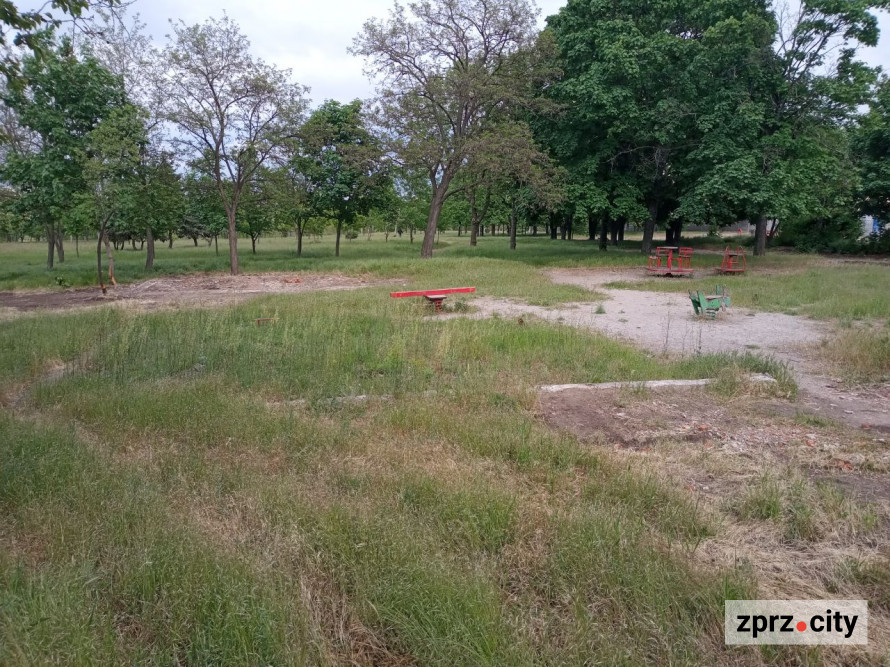 Весняна краса запорізького парку - в одному з районів міста цвітуть заборонені рослини