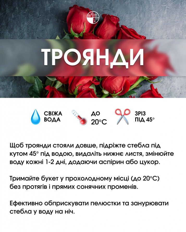 Букет, який довго не в’яне: секрети догляду за популярними квітами
