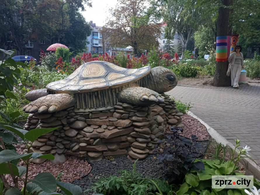 Мухомор бажань, черепаха та дерева у "светрах": де у Запоріжжі побачити незвичайну локацію (фото)