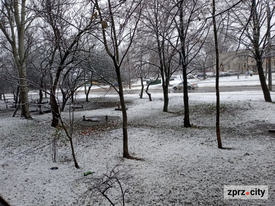 У Запоріжжі почали боротьбу зі снігом - фото перших зимових опадів