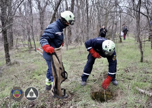 Тварина повернулася на волю - у Запоріжжі рятувальники витягли борсука з каналізаційної шахти (фото)